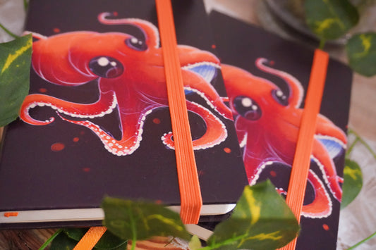 Carnet Octopus